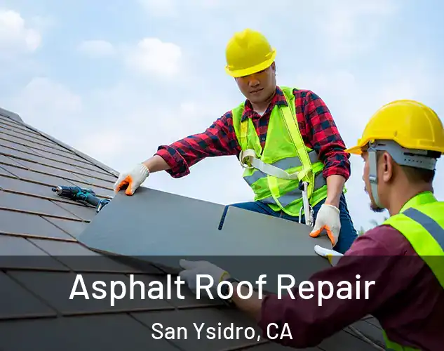  Asphalt Roof Repair San Ysidro, CA
