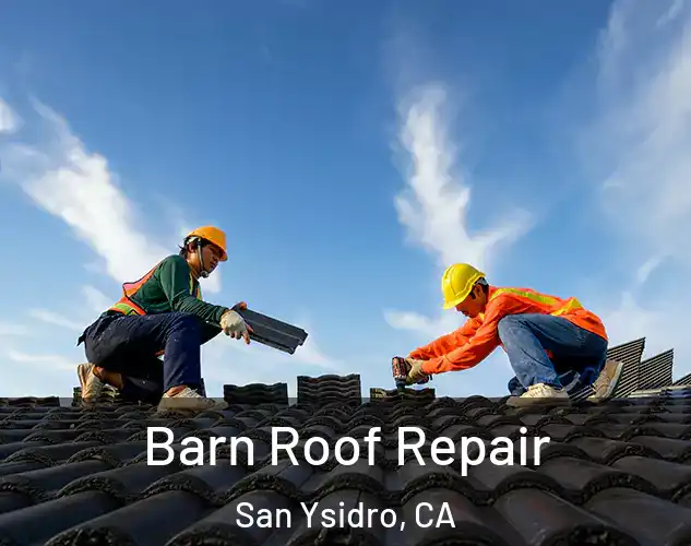  Barn Roof Repair San Ysidro, CA