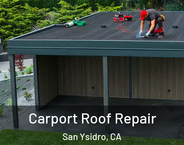  Carport Roof Repair San Ysidro, CA