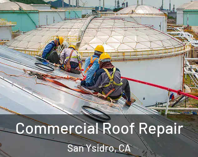  Commercial Roof Repair San Ysidro, CA