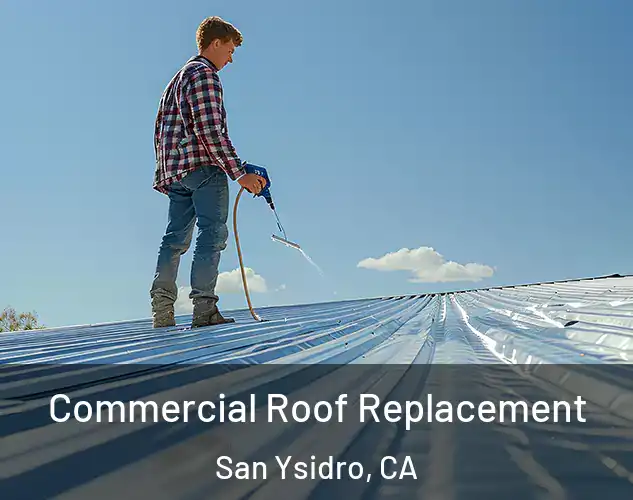  Commercial Roof Replacement San Ysidro, CA