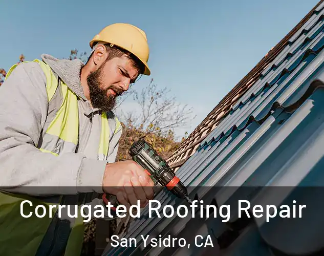  Corrugated Roofing Repair San Ysidro, CA