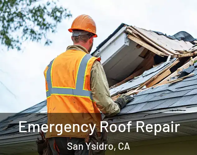  Emergency Roof Repair San Ysidro, CA