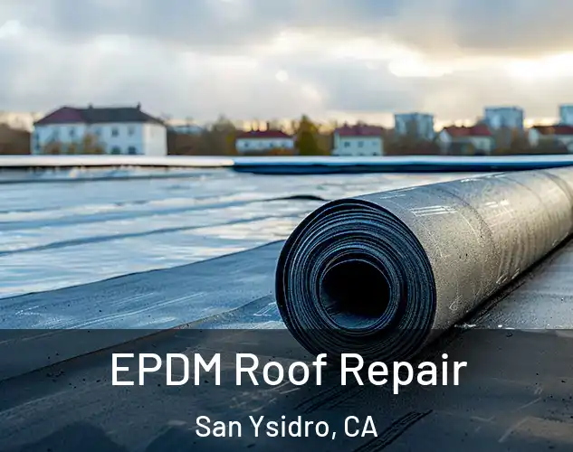  EPDM Roof Repair San Ysidro, CA