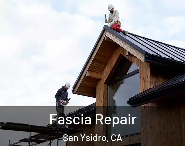  Fascia Repair San Ysidro, CA