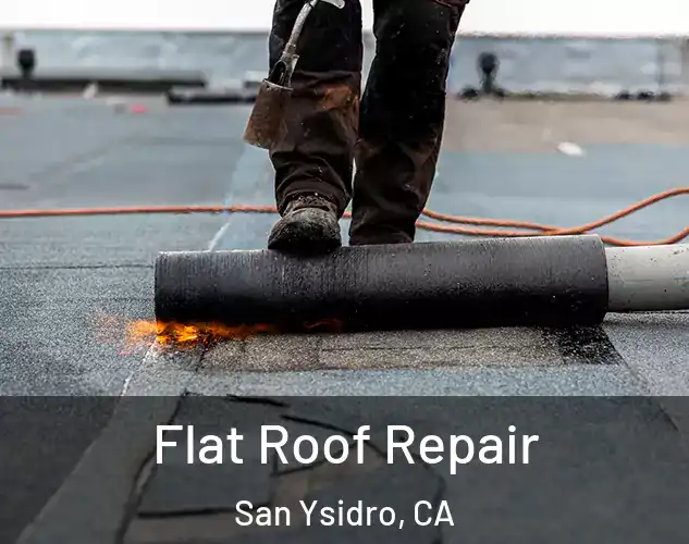  Flat Roof Repair San Ysidro, CA
