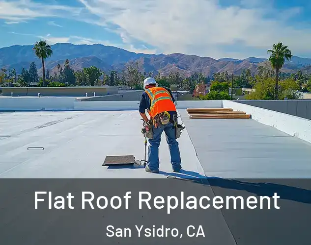  Flat Roof Replacement San Ysidro, CA