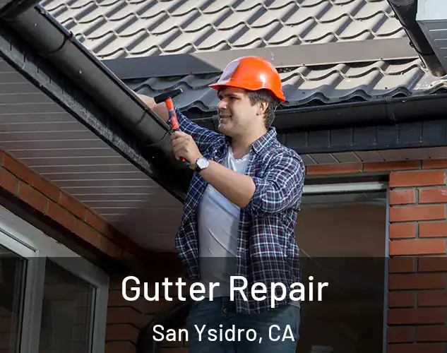  Gutter Repair San Ysidro, CA