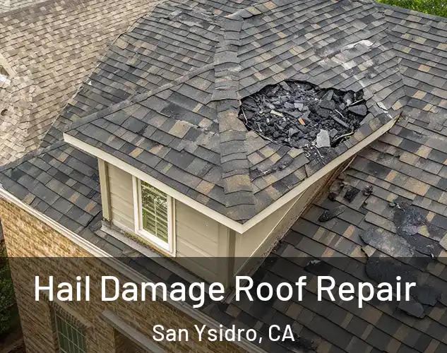  Hail Damage Roof Repair San Ysidro, CA