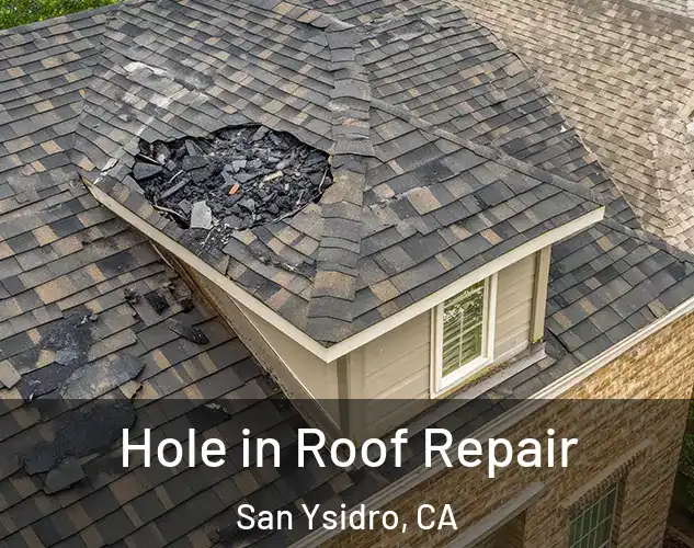  Hole in Roof Repair San Ysidro, CA