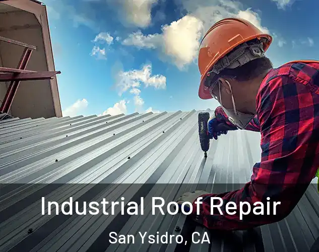  Industrial Roof Repair San Ysidro, CA