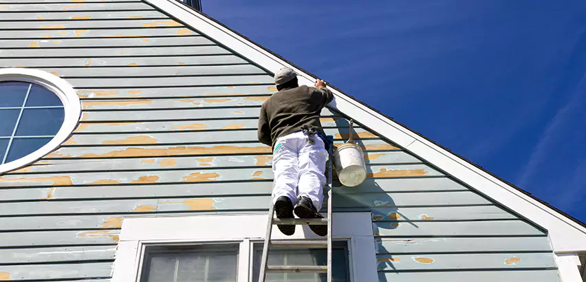 Professional Roof and Siding Repair Services in San Ysidro, CA