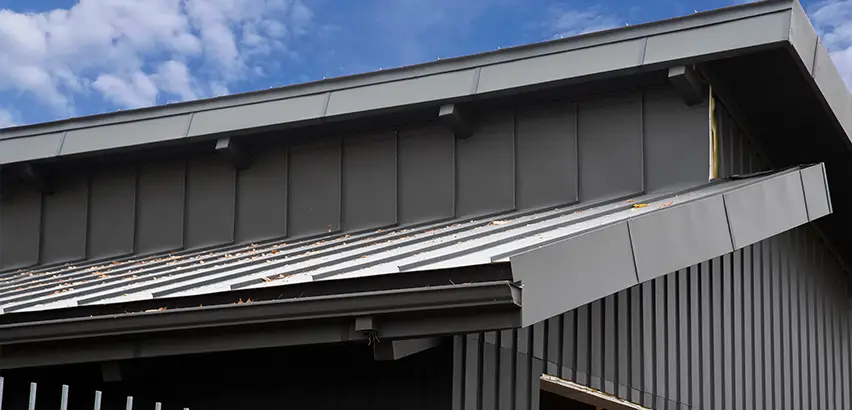 Professional Roof Eaves Installation Services in San Ysidro, CA