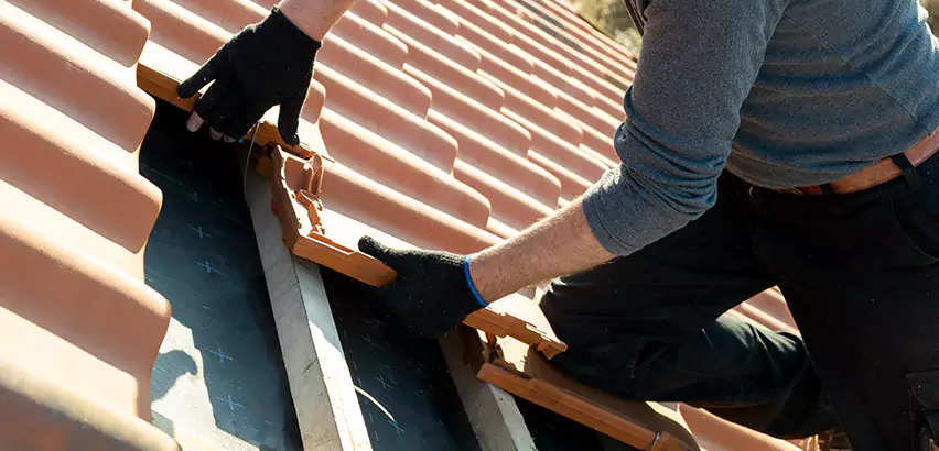 Professional Tile Roof Restoration Services in San Ysidro, CA