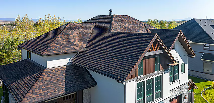 Residential Shingle Roofing in San Ysidro