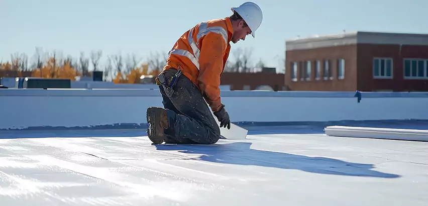 Commercial Roof Coating in San Ysidro