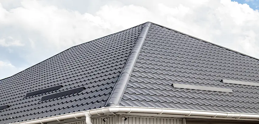 Roof Gully Repair in San Ysidro