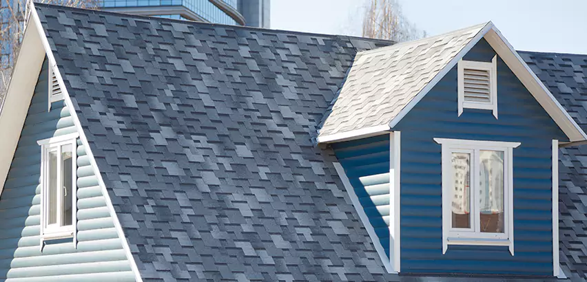 Shingle Roof Maintenance in San Ysidro