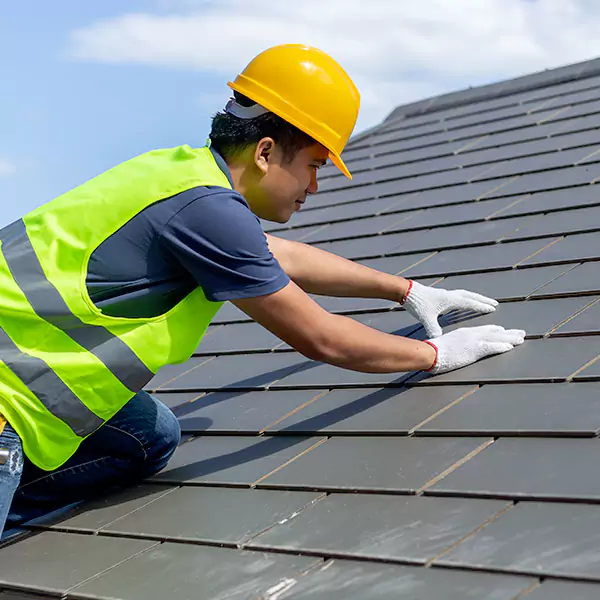 Why San Ysidro Businesses Rely on San Ysidro Roofing for Roof Maintenance?