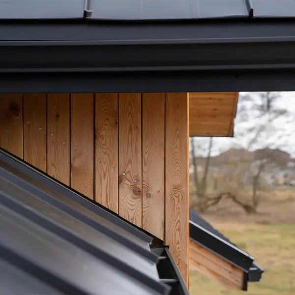 Why San Ysidro Roofing Is the Trusted Choice in San Ysidro, CA?