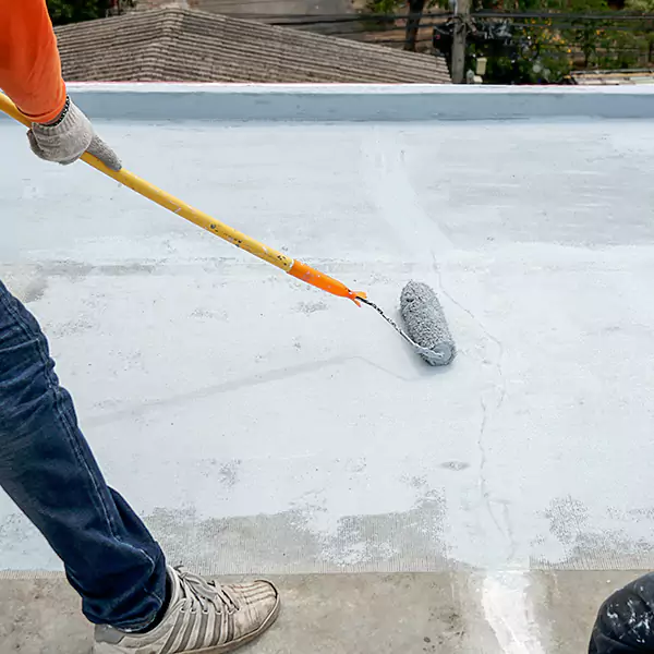 Why San Ysidro Property Owners Choose San Ysidro Roofing for Roof Coating?