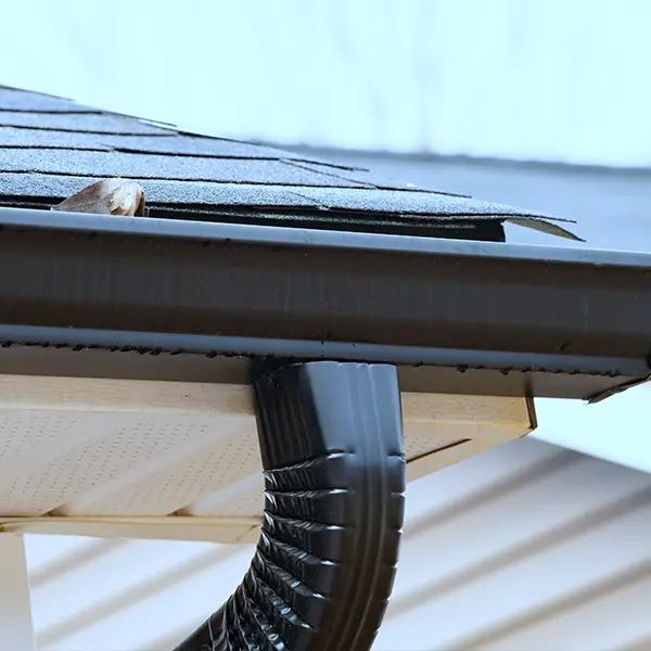 Why San Ysidro Roofing Is the Trusted Choice in San Ysidro, CA?