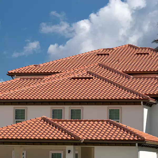 Why San Ysidro, CA Property Owners Choose San Ysidro Roofing for Tile Roofing?