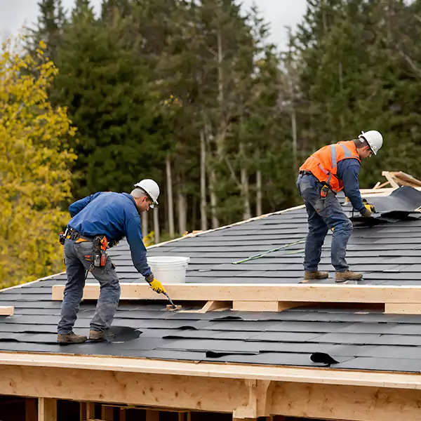 Why San Ysidro, CA Homeowners Choose San Ysidro Roofing for Wind Damage Repairs?