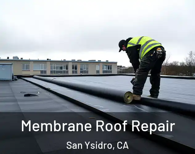  Membrane Roof Repair San Ysidro, CA