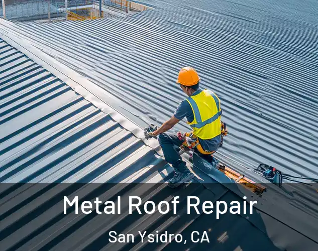  Metal Roof Repair San Ysidro, CA