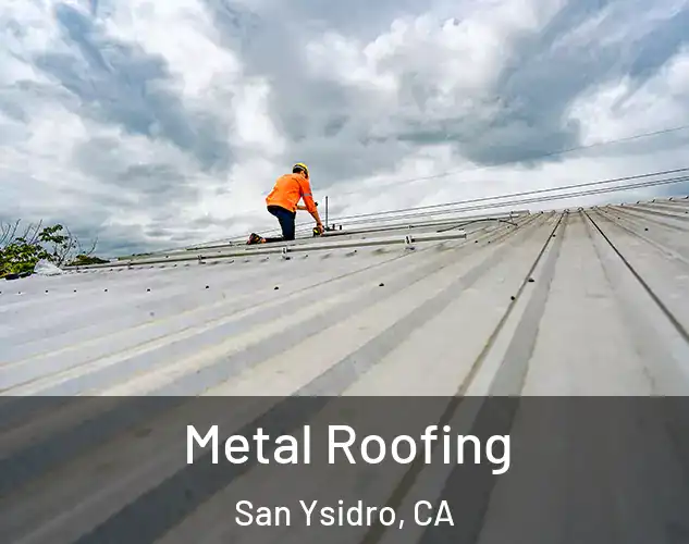  Metal Roofing San Ysidro, CA