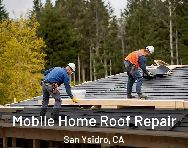  Mobile Home Roof Repair San Ysidro, CA