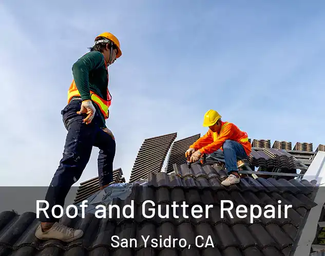  Roof and Gutter Repair San Ysidro, CA