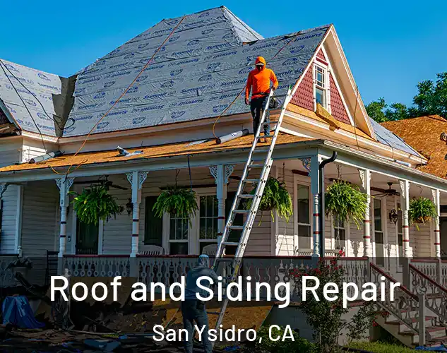  Roof and Siding Repair San Ysidro, CA