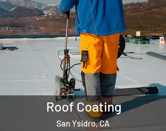 Roof Coating San Ysidro, CA