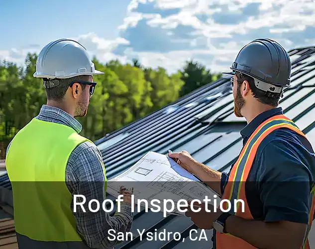  Roof Inspection San Ysidro, CA