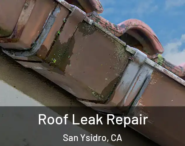  Roof Leak Repair San Ysidro, CA