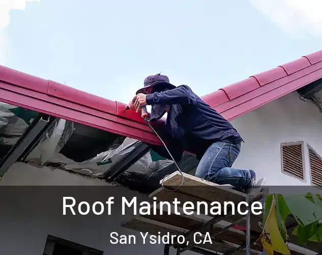  Roof Maintenance San Ysidro, CA