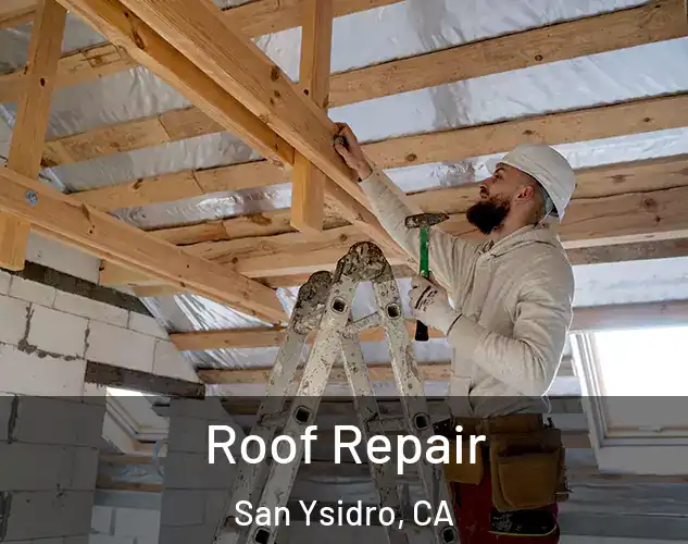  Roof Repair San Ysidro, CA