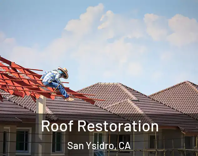  Roof Restoration San Ysidro, CA