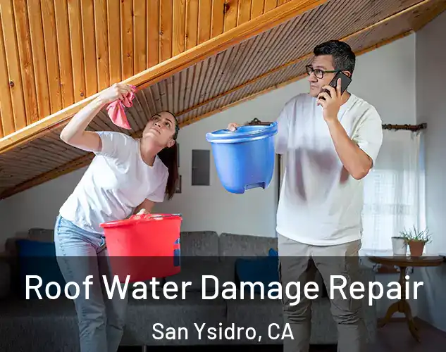  Roof Water Damage Repair San Ysidro, CA