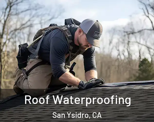  Roof Waterproofing San Ysidro, CA