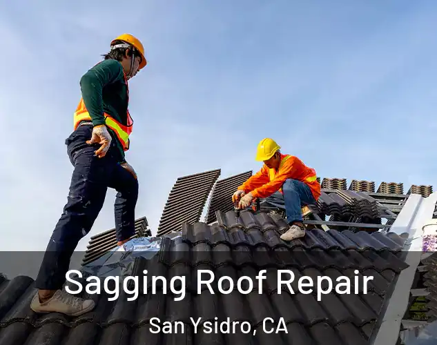  Sagging Roof Repair San Ysidro, CA