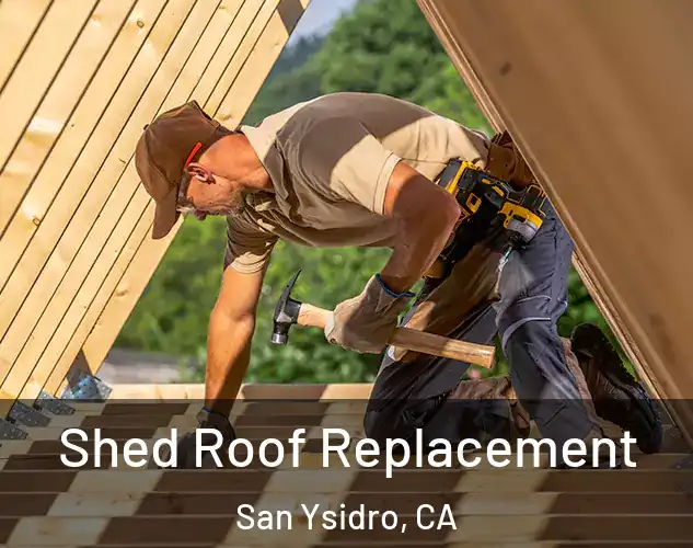  Shed Roof Replacement San Ysidro, CA