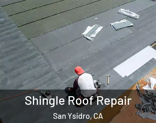  Shingle Roof Repair San Ysidro, CA