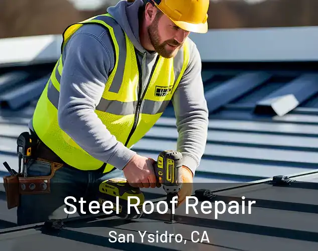  Steel Roof Repair San Ysidro, CA