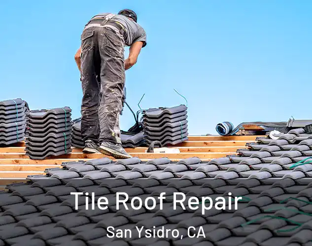  Tile Roof Repair San Ysidro, CA