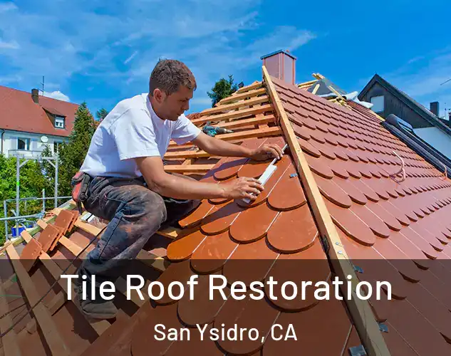  Tile Roof Restoration San Ysidro, CA