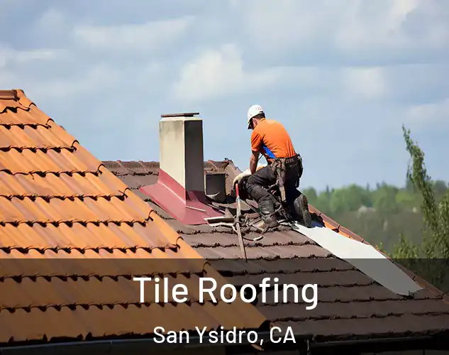  Tile Roofing San Ysidro, CA