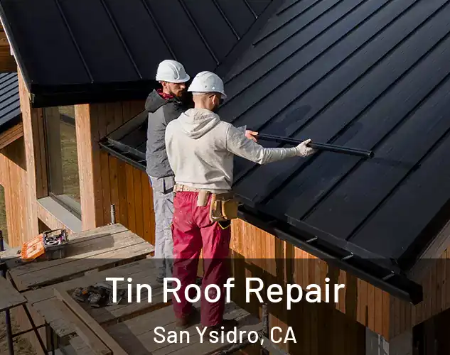  Tin Roof Repair San Ysidro, CA